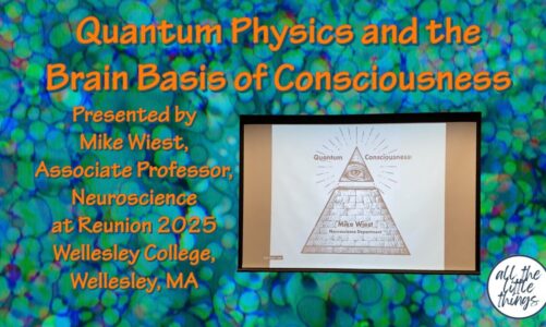 Quantum Physics and the Brain Basis of Consciousness – Reunion Lecture 2025