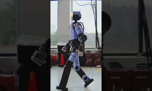 Why Does Atlas Have A Head? #askaroboticist #bostondynamics