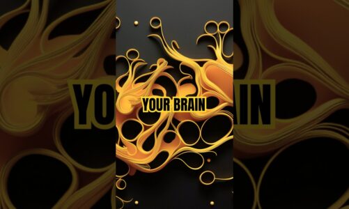 Quantum Connections in the Brain and Consciousness