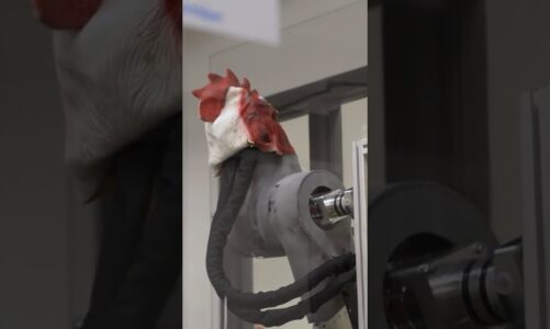 Ask A Roboticist | Meet Diane | Boston Dynamics #robot #bostondynamics #robotics
