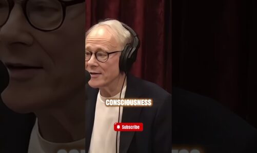 What Is Consciousness? Explained.