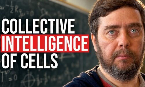 Michael Levin: Consciousness, Biology, Universal Mind, Emergence, Cancer Research