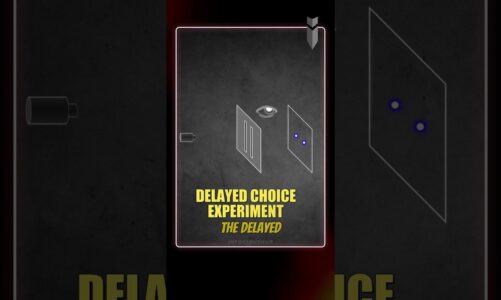 Quantum Delayed Choice Experiment